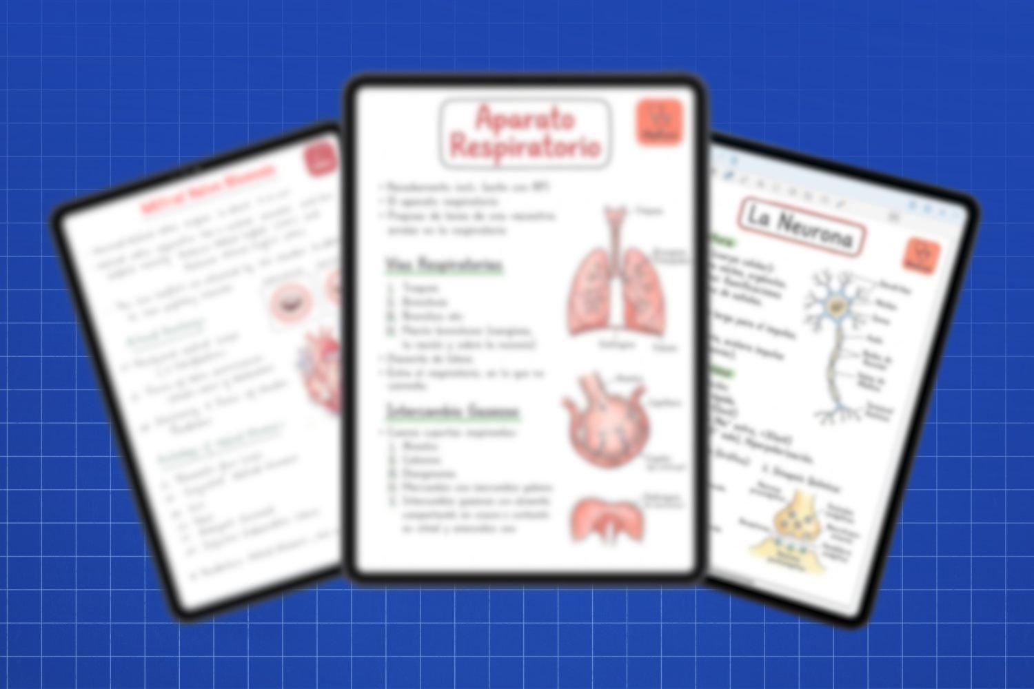 Apuntes visuales de MedCore en tablet con ilustraciones estilo Osmosis de anatomía